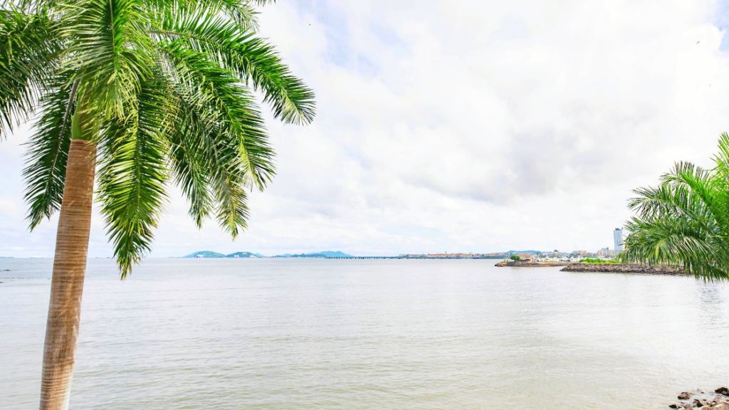 Joe Rogan Stem Cell Where To Get Stem Cell Therapy: Panama City, Panama