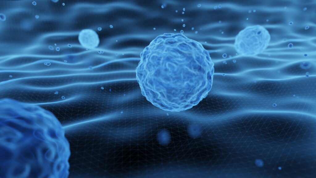 3D rendering of embryonic stem cells