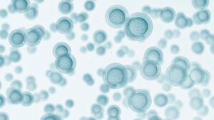 computer-generated image of cells on a white background