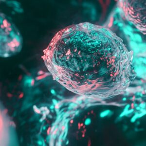 what are exosomes computer-generated image of a mesenchymal stem cell