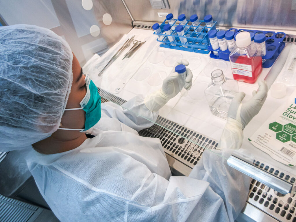 stem cell therapy for wellness