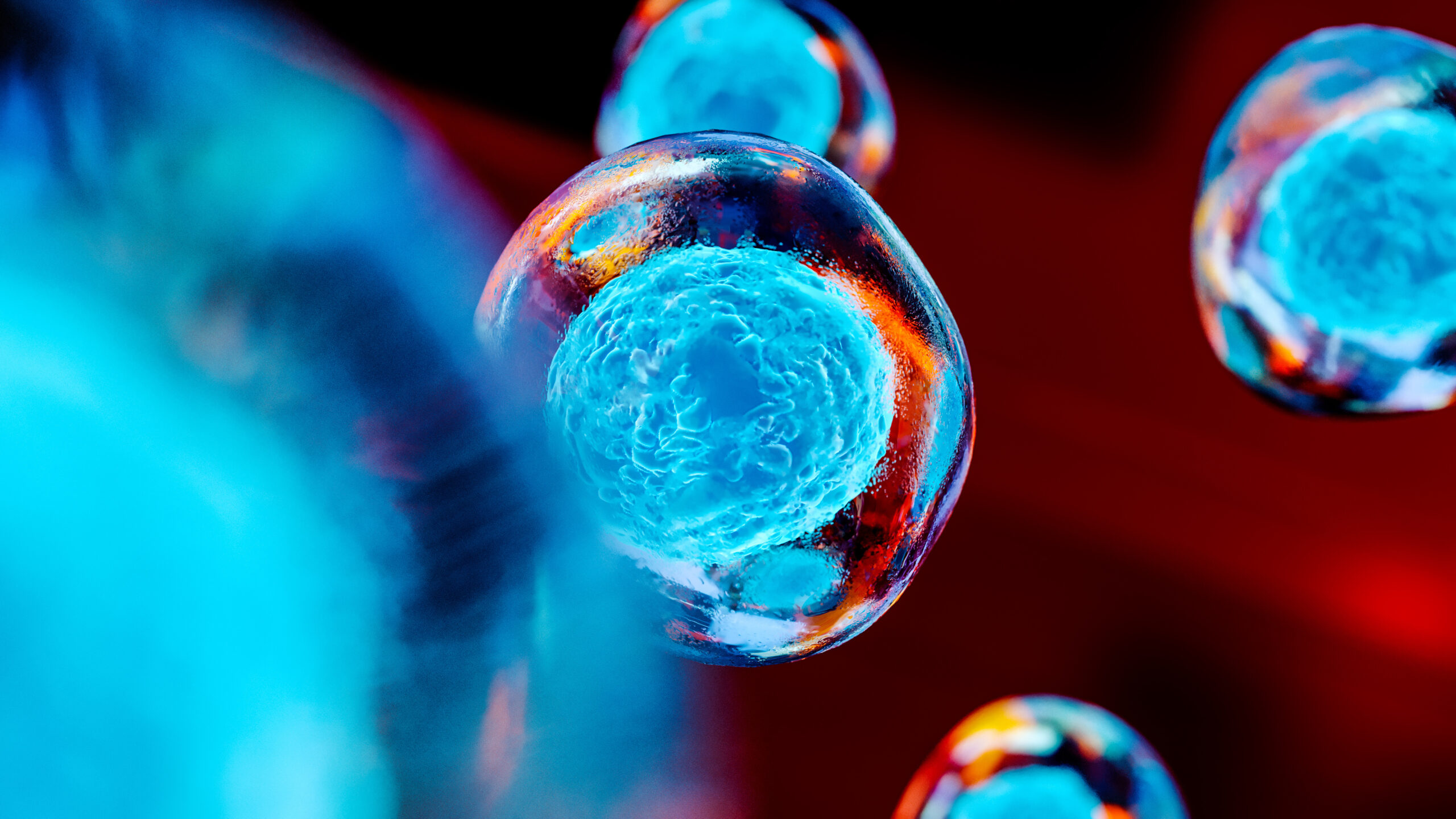 What Are Mesenchymal Stem Cells and How Do They Work?